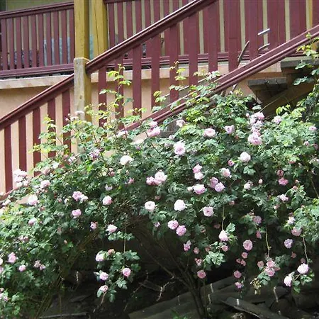 Guest house Tornacos Haz